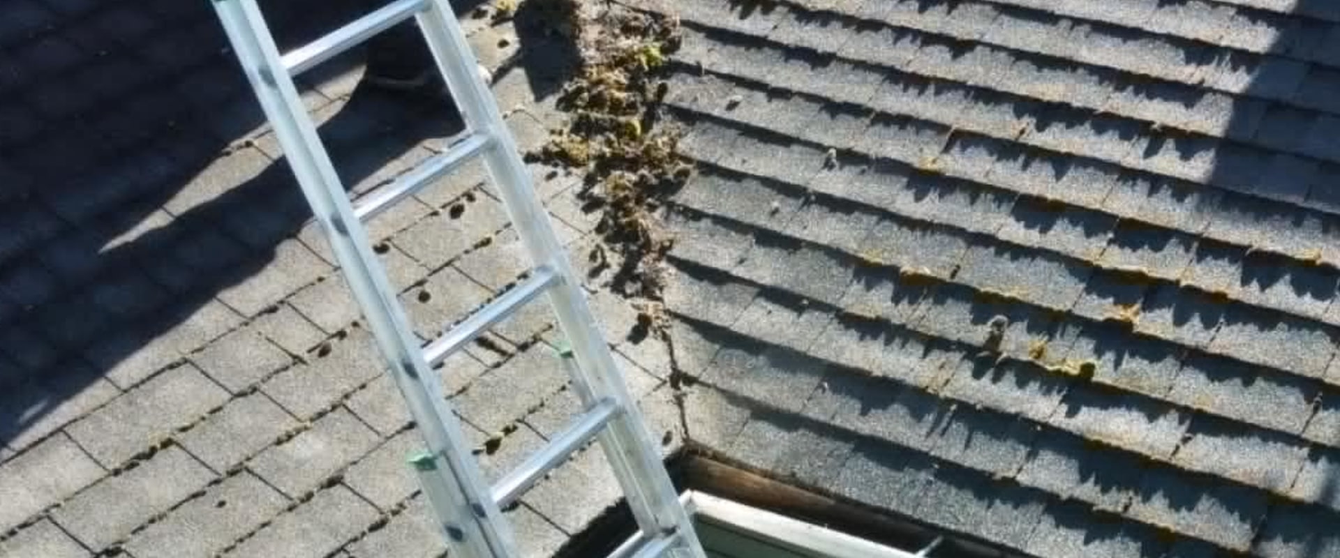 Why Softwashing Completes Your Deck Construction Project In Vancouver, WA